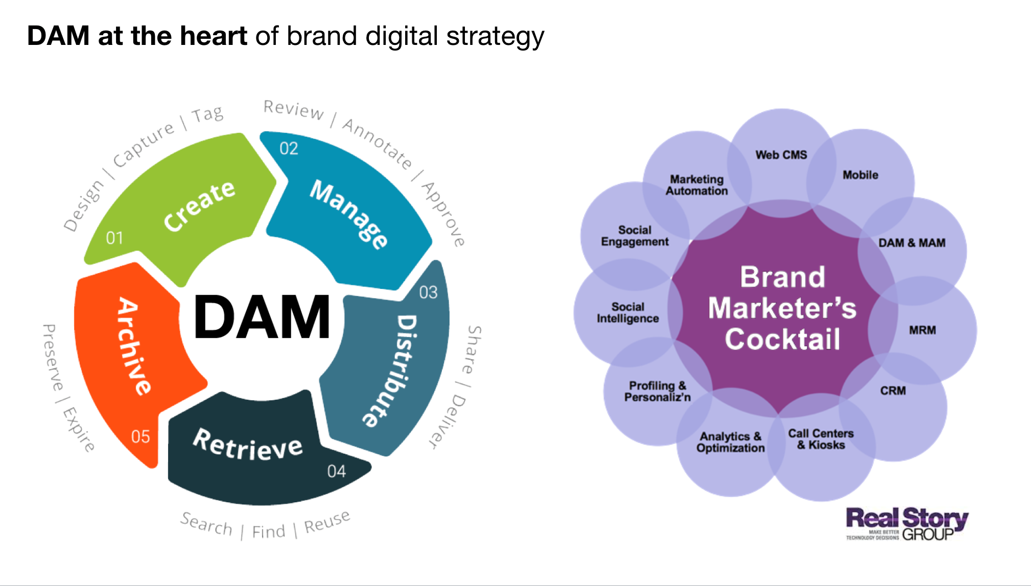 Choosing Digital Asset Management with Frederic Sanuy [Interview]